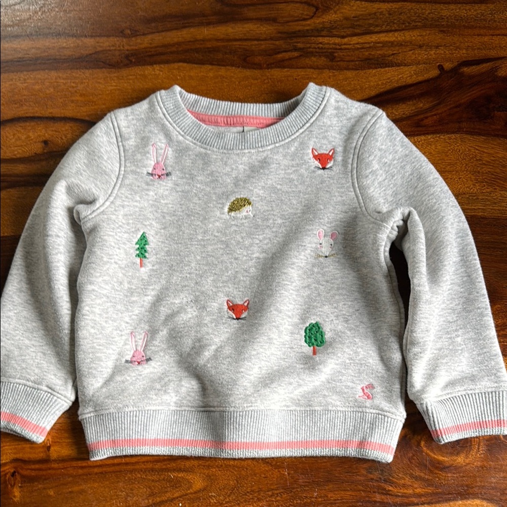 Gray Kids Sweatshirt with Animal Embroidery